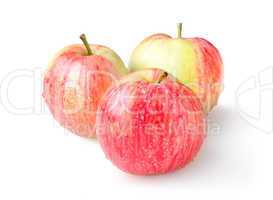 Three ripe apples isolated