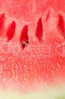 Watermelon background