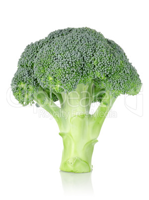 Broccoli