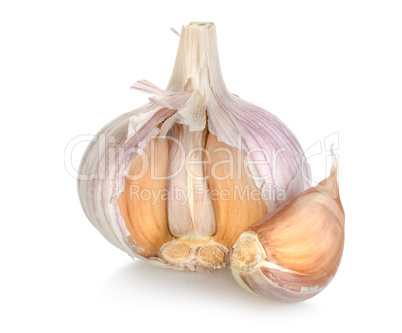 Garlic isolated