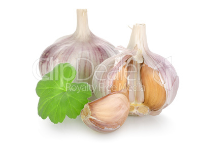 Raw garlic isolated