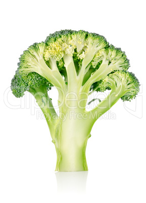 Ripe broccoli isolated