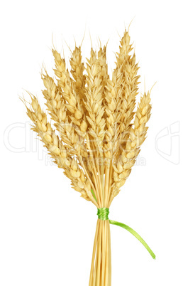 Wheat stems