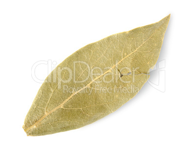 Dried bay leaf