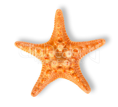 Starfish