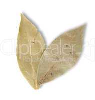 Two bay leaves