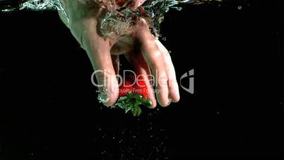Hand taking strawberry from water