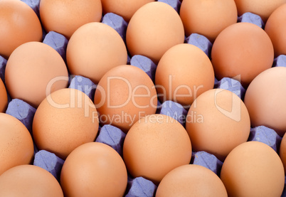 Tray of eggs in cardboard packing
