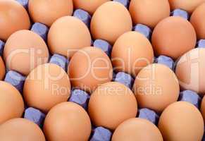 Tray of eggs in cardboard packing