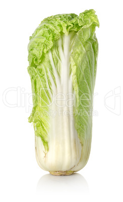 Chinese cabbage