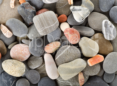 Sea pebble