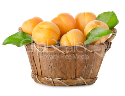 Apricots in a basket isolated