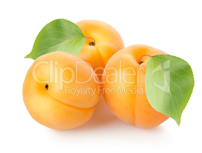 Apricots with leaves