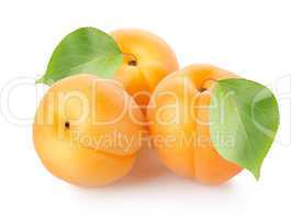 Apricots with leaves