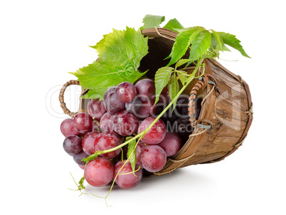 Dark blue grapes in a wooden basket
