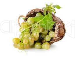 Grapes in a wooden basket