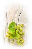 Green grapes on the table