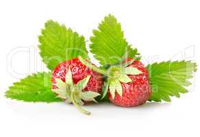 Ripe strawberries with leaves