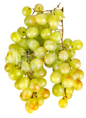 Bunch of green grapes