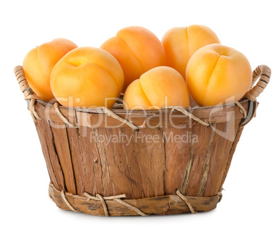Raw apricots in a basket