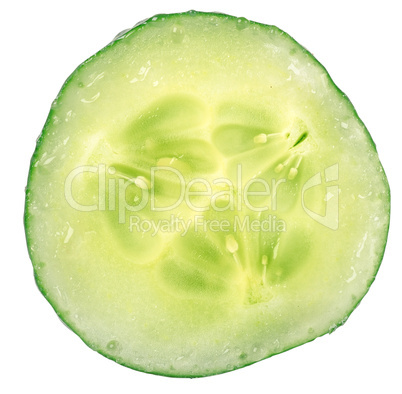 Cucumber circle portion