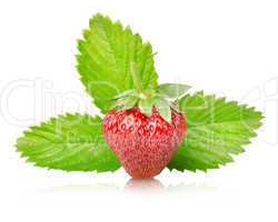 Ripe strawberries with leaves isolated