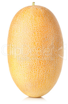 Cantaloupe