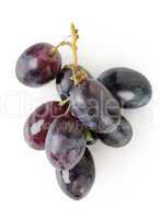 Dark blue grapes