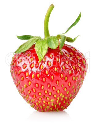 Ripe strawberries