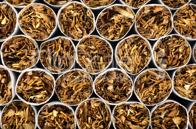 Close-up of cigarettes