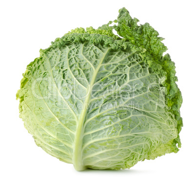 Savoy cabbage isolated