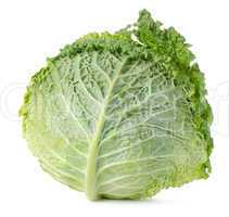 Savoy cabbage isolated