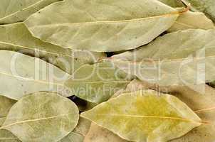 Arrangement of bay leaves