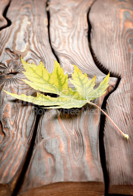 Autumn leaf on a wooden table