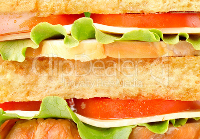 Background of delicious sandwich
