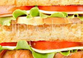 Background of delicious sandwich