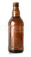 Beer in a brown bottle isolated