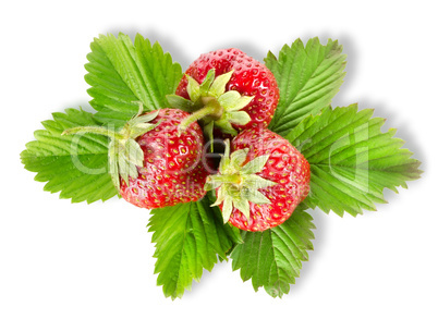 Heap strawberry isolated