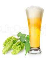 Light beer and hop