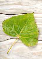 Poplar leaf on a wooden background