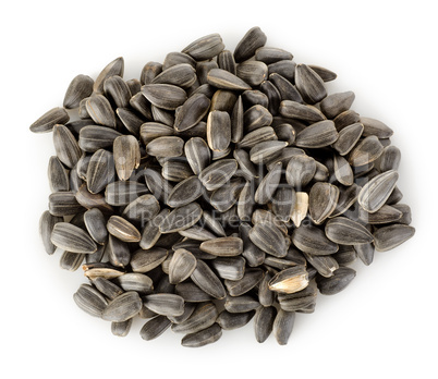 Sunflower seeds isolated