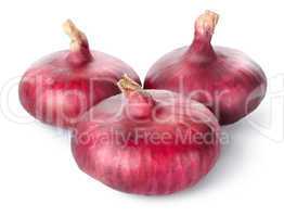 Three red onions