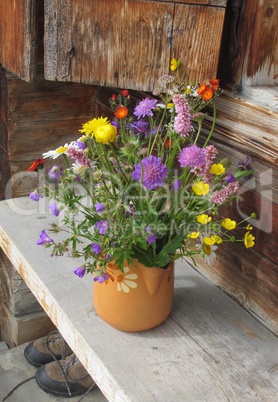 Bunch of alpine wildflowers