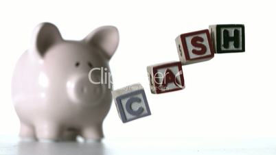 Alphabet blocks spelling cash dropping down in front of a piggy bank