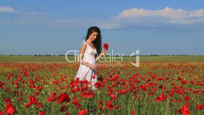 Poppy bouquet