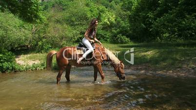 Horse in water