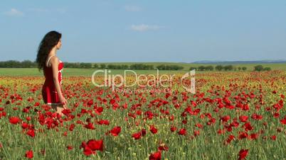 Woman in a poppy field