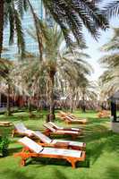 Sunbeds on the green lawn and palm tree shadow in luxury hotel,