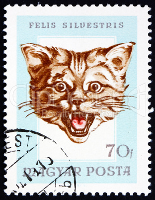 Postage stamp Hungary 1966 Head of Wildcat