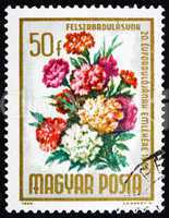 Postage stamp Hungary 1965 Bouquet of Carnations, Flowers